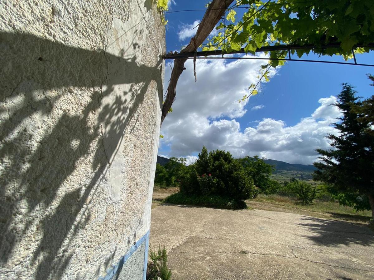 Casa Veronica